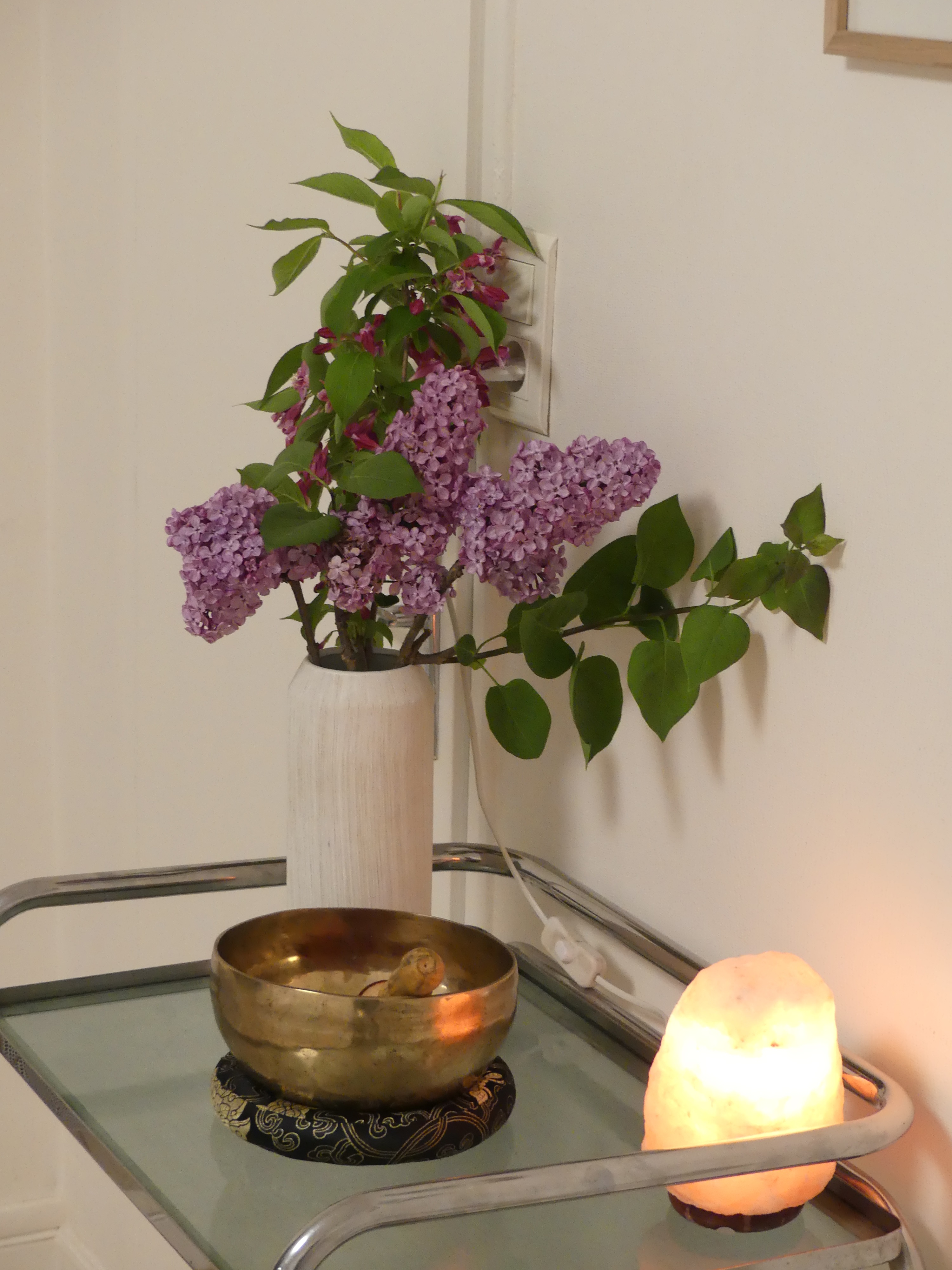 Paysage floral Only Inside